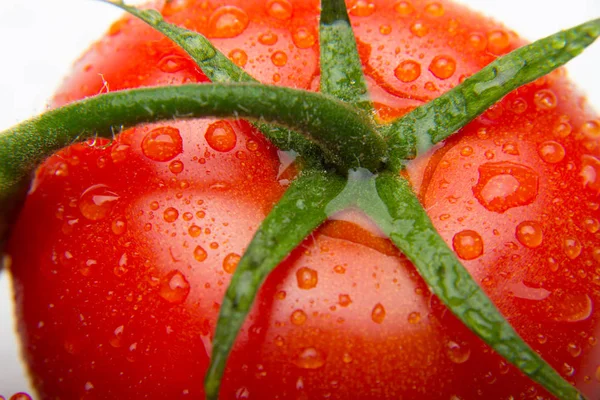 Nahaufnahme Von Frischen Tomaten Und Frisch Gepflückt Aus Dem Garten — Stockfoto