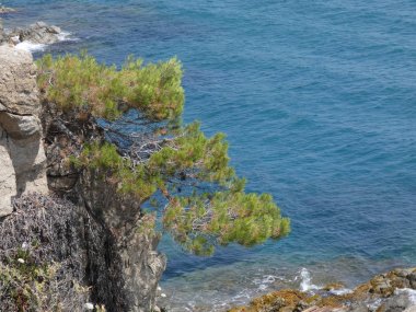 Akdeniz'in littoral Katalonya bölgesinin kuzeyinde Costa Brava küçük veya güzel koy