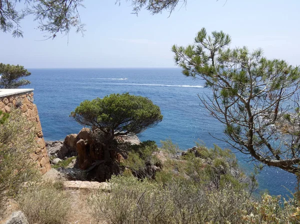 Malá Nebo Krásná Zátoka Costa Brava Severně Oblasti Katalánska Pobřeží — Stock fotografie