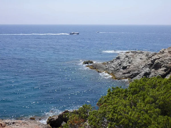 Pequeña Hermosa Cala Costa Brava Norte Comarca Cataluña Litoral Del —  Fotos de Stock