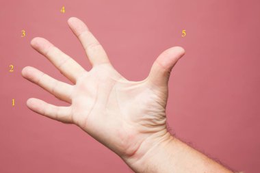 elle yapılan işaret ve işaretler, parmaklarla yapılan sayısal işaretler, bir, iki, üç, dört, beş, zafer işareti, yenilgi, semboller