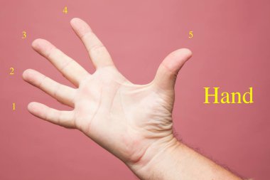 elle yapılan işaret ve işaretler, parmaklarla yapılan sayısal işaretler, bir, iki, üç, dört, beş, zafer işareti, yenilgi, semboller