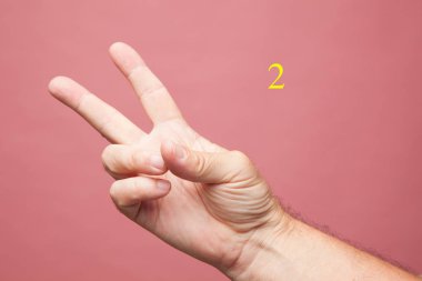 elle yapılan işaret ve işaretler, parmaklarla yapılan sayısal işaretler, bir, iki, üç, dört, beş, zafer işareti, yenilgi, semboller