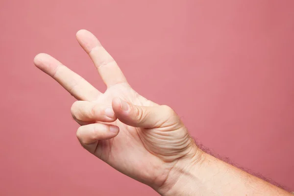 用手制作的符号和信号 用手指做的数字符号 胜利符号 — 图库照片