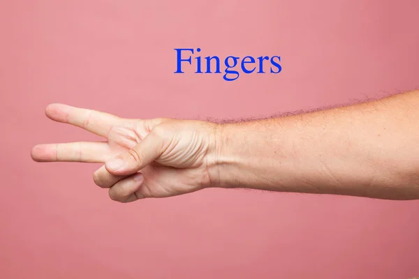 signs and signals that are made with the hand, numerical signs that are done with the fingers, one, two, three, four, five, victory sign, defeat, symbols