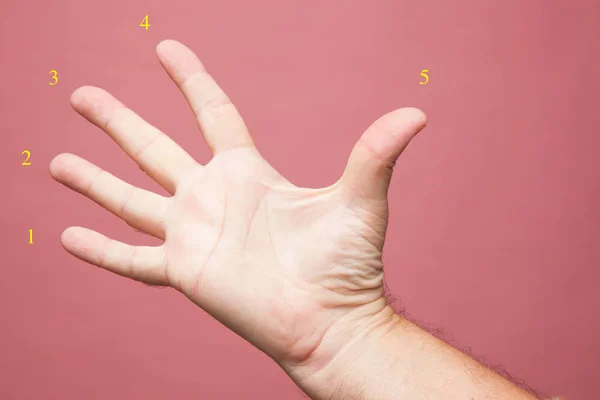 手で作られた標識や信号 指で行われる数値記号 勝利のサイン シンボル — ストック写真