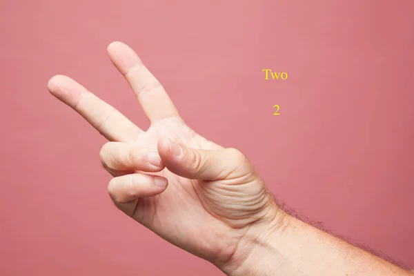 Hand and fingers making signs and numerical symbols and closed fist on plain background. Fist of man making numbers with fingers.