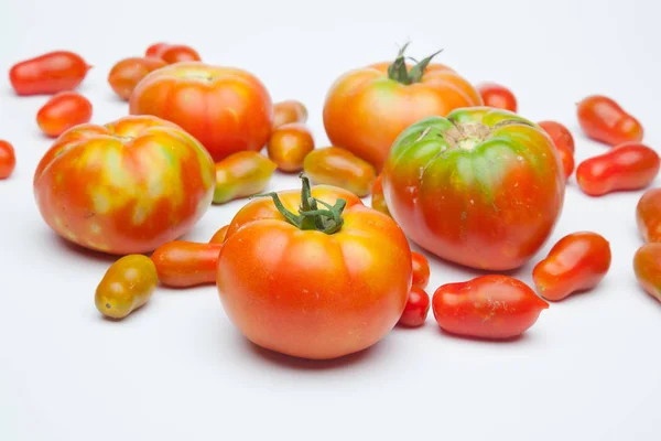 Pomidor Który Przybył Ogrodu Świeżo Pobrane Ogrodu Rynek Zdrowe Smaczne — Zdjęcie stockowe