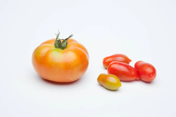 Tomate Que Chegou Jardim Recém Colhido Jardim Para Mercado Tomate — Fotografia de Stock