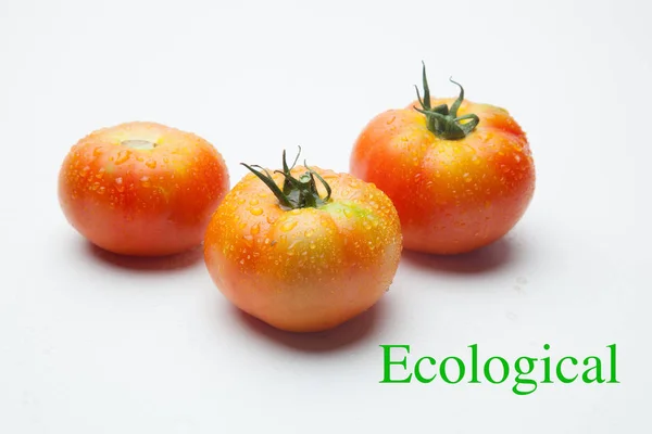 Tomaten Die Frisch Gepflückt Aus Dem Garten Auf Den Markt — Stockfoto