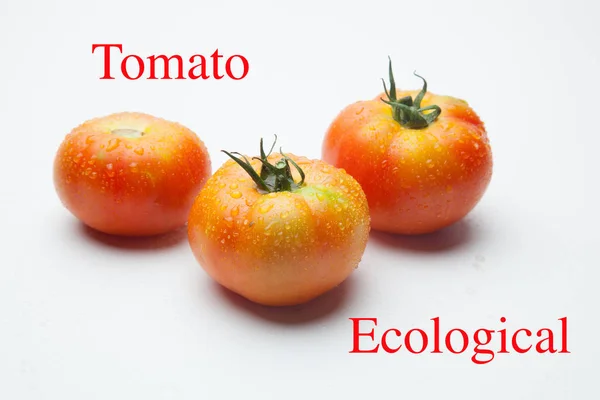 Ντομάτα Που Έχει Φτάσει Από Τον Κήπο Φρεσκοψημένο Από Τον — Φωτογραφία Αρχείου