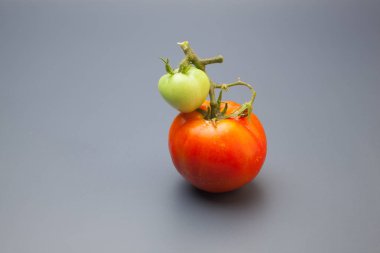 Domatesler yeşilden kırmızıya, olgunlaşma işlemi. Yeşil domates henüz tüketime hazır değil, kırmızı domates vitamin ve lezzet dolu, tüketim için hazırlanan.