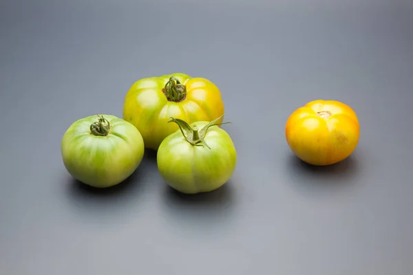 토마토 토마토 토마토는 녹색으로 수확되어 밖에서 외부로 있으며 프로세스가 길어지고 — 스톡 사진