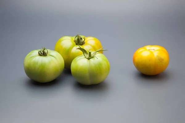 Tomatoes from green to red, ripening process. The green tomatoes are not yet ready for consumption, the red tomato full of vitamins and flavor, prepared for consumption.