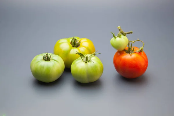 Tomatoes from green to red, ripening process. The green tomatoes are not yet ready for consumption, the red tomato full of vitamins and flavor, prepared for consumption.