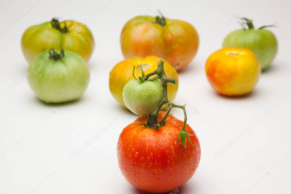 Tomato red and green, organic, arrived from the garden to the market. Proximity product of Kilometer zero, product of proximity. Tomato full of flavor and vitamins for being an organic product.
