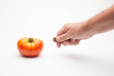 Hangi ürünlerin maliyeti, tarım ürünleri için ne kadar ödediğimiz. satın almak, satmak ve para almak için ödeme. Tarımsal yatırımın yararları. Çiftçilerin ekinleri için ne kadar para alıyorlar. Sahadan ürünleri doğrudan satmak.