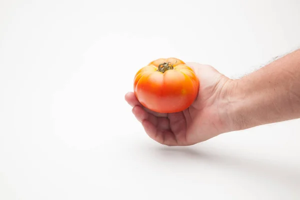 Raw Tomato Hand Person Tomato Shown Hand Healthy Healthy Tomato — Stock Photo, Image