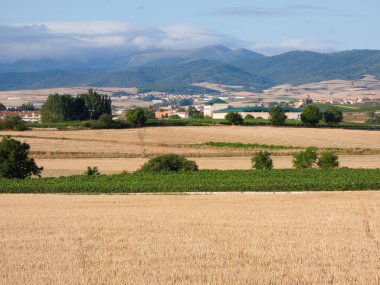 Özellikle yazın Navarra bölgesinden gelen Campos de Espaa, gelecek sezon için hazırlanan tarlayı aldı.