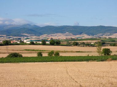 Özellikle yazın Navarra bölgesinden gelen Campos de Espaa, gelecek sezon için hazırlanan tarlayı aldı.