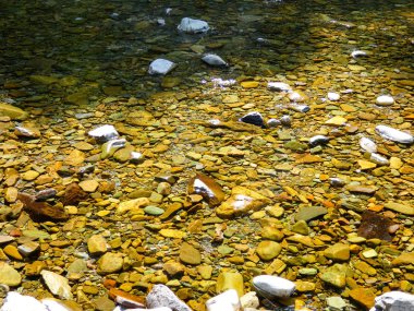 Yüksek dağ nehri, soğuk ve kristal berraklığında su ile