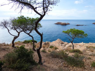 Costa Brava, Girona, İspanya, Akdeniz kıyıları, plajlar ve kayalıklar, engebeli manzara, güzel çok güzel dolu