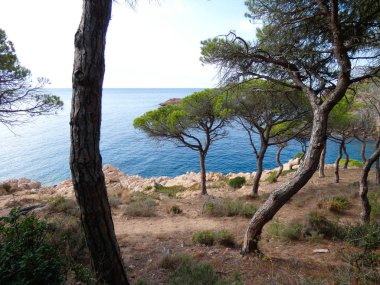 Costa Brava, Girona, İspanya, Akdeniz kıyıları, plajlar ve kayalıklar, engebeli manzara, güzel çok güzel dolu