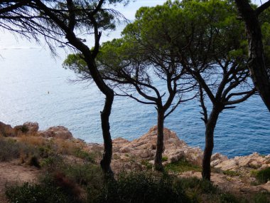 Costa Brava, Girona, İspanya, Akdeniz kıyıları, plajlar ve kayalıklar, engebeli manzara, güzel çok güzel dolu