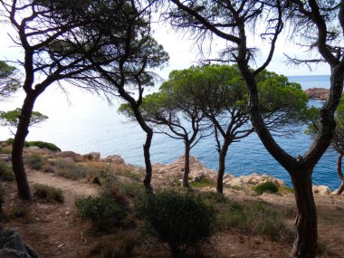 Costa Brava, Girona, İspanya, Akdeniz kıyıları, plajlar ve kayalıklar, engebeli manzara, güzel çok güzel dolu