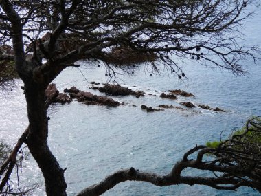Costa Brava, Girona, İspanya, Akdeniz kıyıları, plajlar ve kayalıklar, engebeli manzara, güzel çok güzel dolu