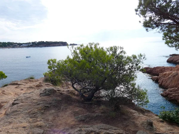 Costa Brava Girona Spanyolország Földközi Tenger Partján Tele Strandok Sziklák — Stock Fotó