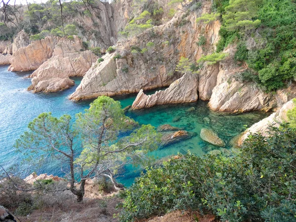 コスタブラバ ジローナ スペイン 地中海沿岸 ビーチや崖の完全な 険しい風景 美しい非常に美しい — ストック写真