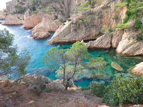 Costa Brava, Girona, İspanya, Akdeniz kıyıları, plajlar ve kayalıklar, engebeli manzara, güzel çok güzel dolu
