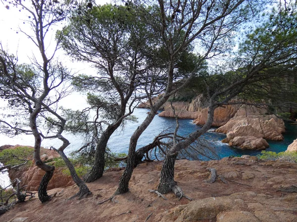 Costa Brava Girona Espanha Costa Mediterrânea Cheia Praias Falésias Paisagem — Fotografia de Stock