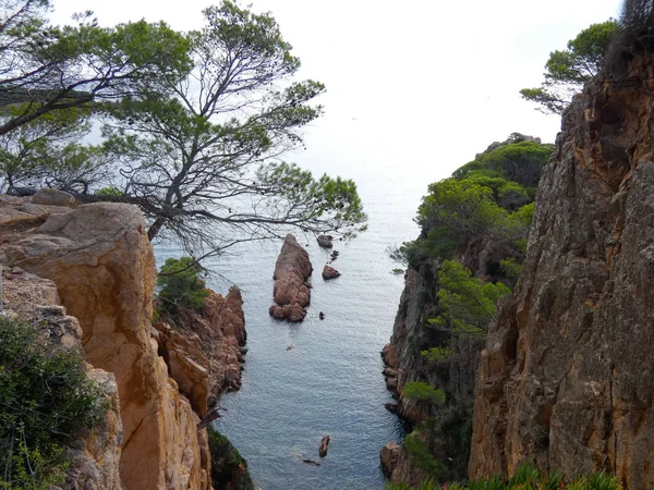 Costa Brava, Girona, İspanya, Akdeniz kıyıları, plajlar ve kayalıklar, engebeli manzara, güzel çok güzel dolu