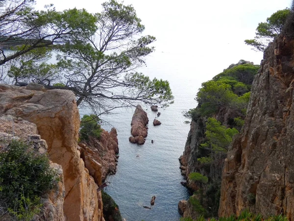 Costa Brava Girona Spanya Akdeniz Kıyıları Plajlar Kayalıklar Engebeli Manzara — Stok fotoğraf