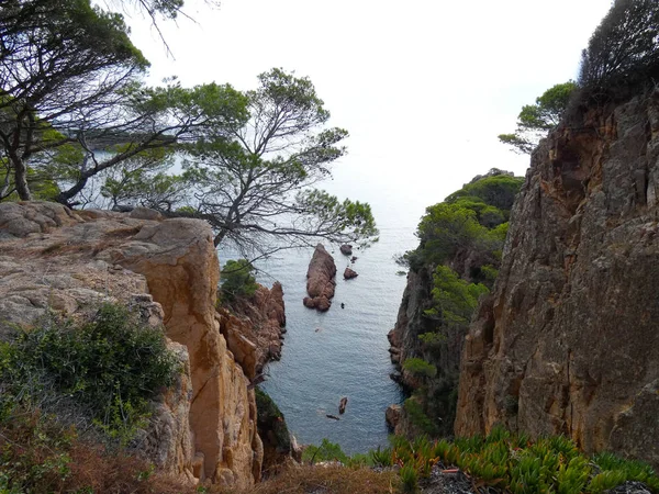 Costa Brava, Girona, İspanya, Akdeniz kıyıları, plajlar ve kayalıklar, engebeli manzara, güzel çok güzel dolu