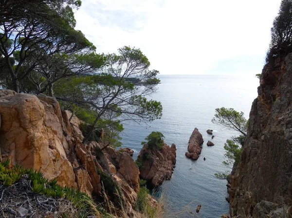 Costa Brava, Girona, İspanya, Akdeniz kıyıları, plajlar ve kayalıklar, engebeli manzara, güzel çok güzel dolu