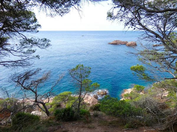 Costa Brava Girona Spagna Costa Mediterranea Piena Spiagge Scogliere Paesaggio — Foto Stock
