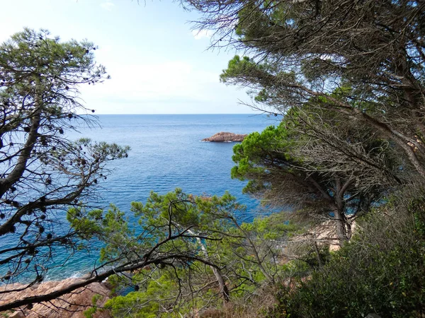 Costa Brava, Girona, İspanya, Akdeniz kıyıları, plajlar ve kayalıklar, engebeli manzara, güzel çok güzel dolu