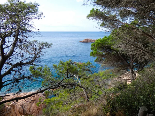 Costa Brava Girona Spanya Akdeniz Kıyıları Plajlar Kayalıklar Engebeli Manzara — Stok fotoğraf