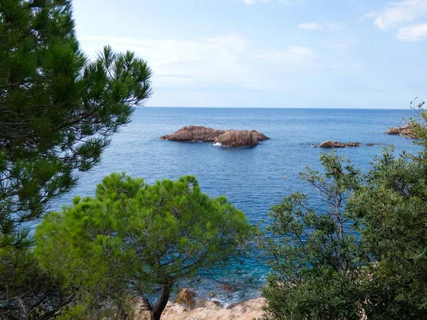 Costa Brava Girona Spanya Akdeniz Kıyıları Plajlar Kayalıklar Engebeli Manzara — Stok fotoğraf