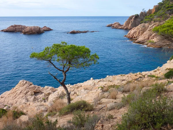 Costa Brava Girona Spanya Akdeniz Kıyıları Plajlar Kayalıklar Engebeli Manzara — Stok fotoğraf