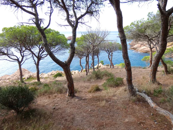 Costa Brava, Girona, İspanya, Akdeniz kıyıları, plajlar ve kayalıklar, engebeli manzara, güzel çok güzel dolu