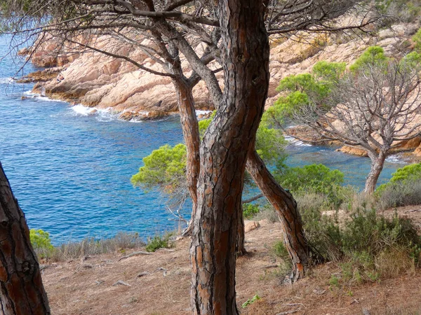 Costa Brava Girona Espanha Costa Mediterrânea Cheia Praias Falésias Paisagem — Fotografia de Stock