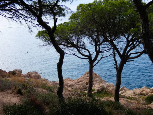 Costa Brava Girona Spagna Costa Mediterranea Piena Spiagge Scogliere Paesaggio — Foto Stock