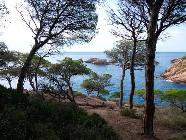 Costa Brava Girona Spanya Akdeniz Kıyıları Plajlar Kayalıklar Engebeli Manzara — Stok fotoğraf