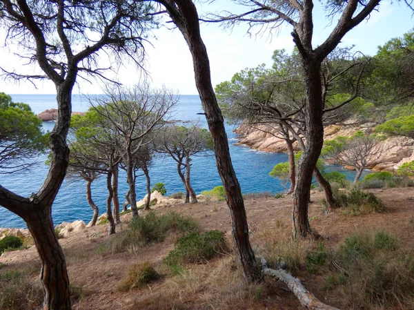 Costa Brava Girona Spanyolország Földközi Tenger Partján Tele Strandok Sziklák — Stock Fotó