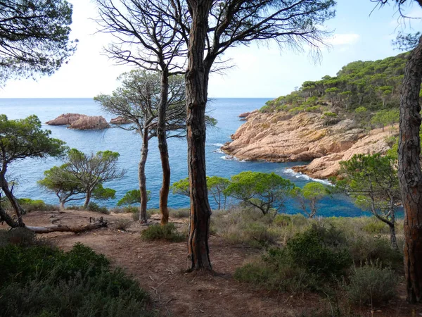 Costa Brava, Girona, İspanya, Akdeniz kıyıları, plajlar ve kayalıklar, engebeli manzara, güzel çok güzel dolu