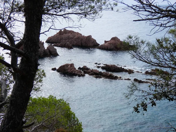 Costa Brava Girona Spanya Akdeniz Kıyıları Plajlar Kayalıklar Engebeli Manzara — Stok fotoğraf